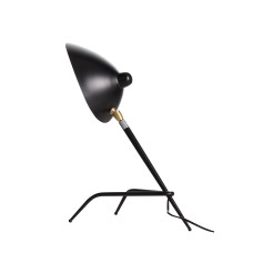 Интерьерная настольная лампа Spruzzo SL305.404.01