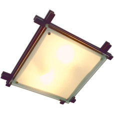Настенно-потолочный светильник Edison 48324-2