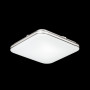 Настенно-потолочный светильник Lona 3020/CL